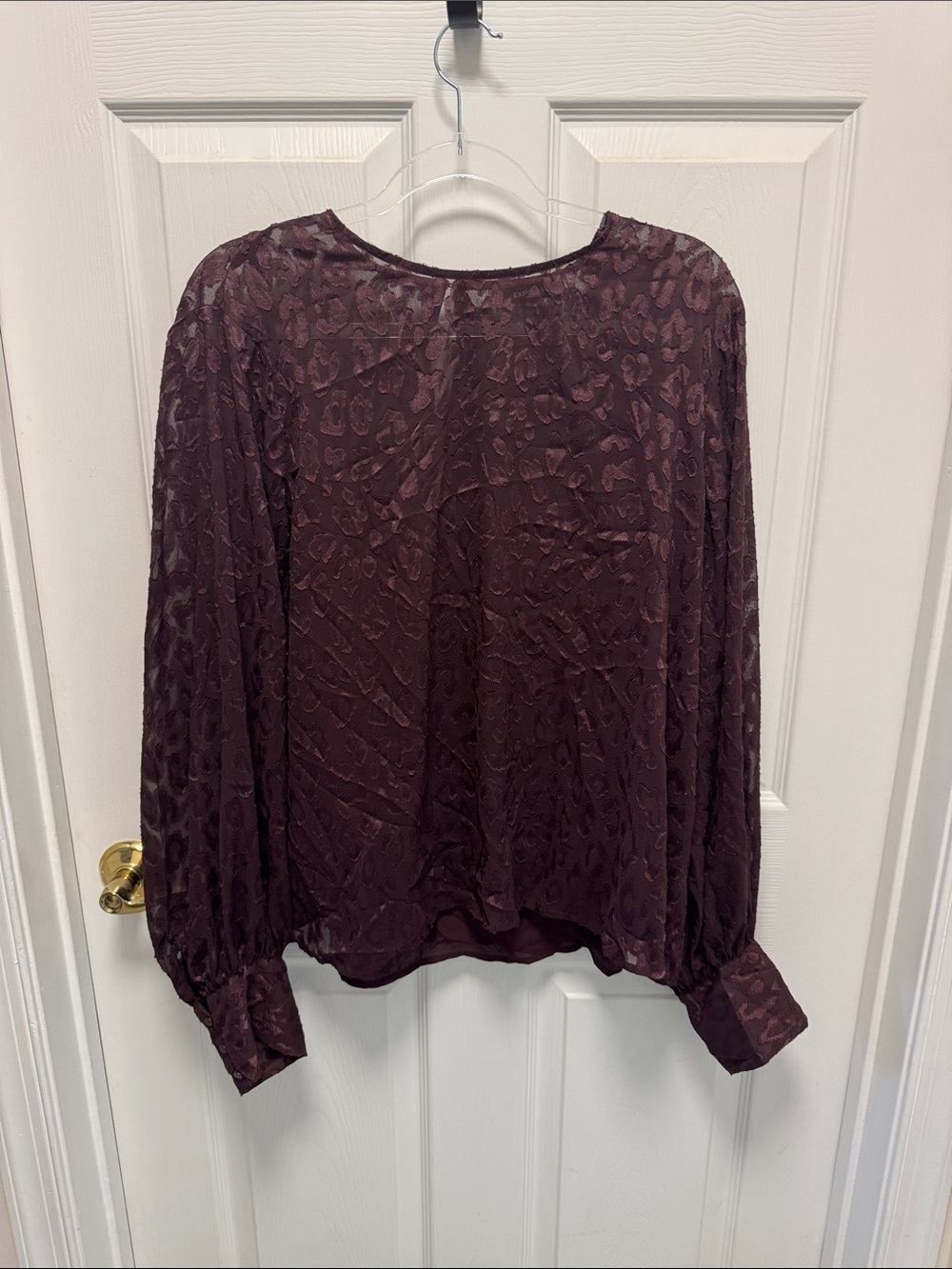 Express Plum Long Sleeve Sheer Leopard-Texture Blouse